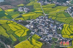 皖南黟县以花为媒激活春日